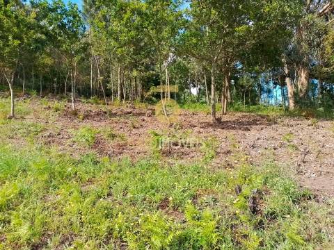 Terreno para construção