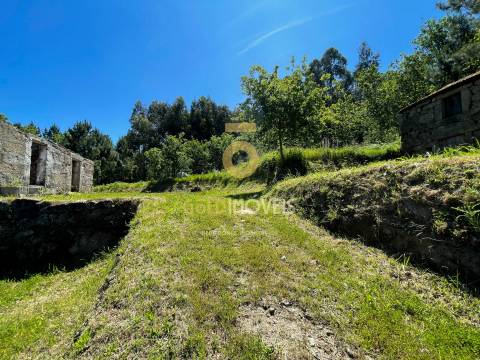 Terreno Rústico