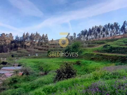 Terreno Para Construção  Venda em Real,Castelo de Paiva