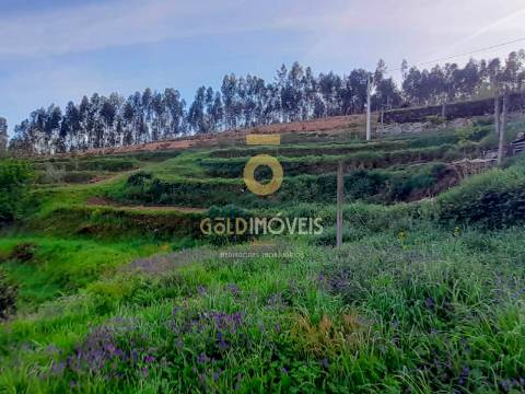 Terreno Para Construção  Venda em Real,Castelo de Paiva