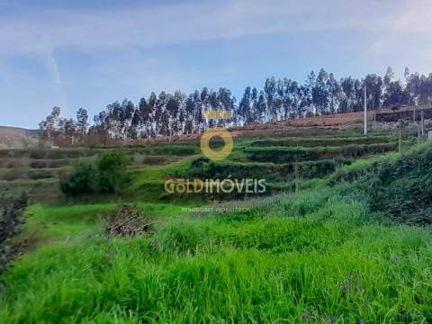 Terreno Para Construção  Venda em Real,Castelo de Paiva