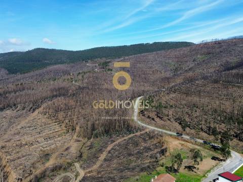 Terreno Para Construção  Venda em Real,Castelo de Paiva