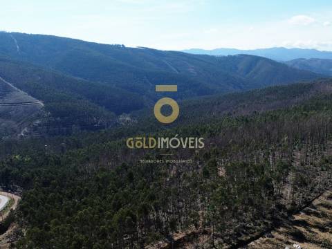 Terreno Para Construção  Venda em Real,Castelo de Paiva