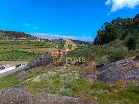 Terreno Rústico  Venda em Vila Boa de Quires e Maureles,Marco de Canaveses