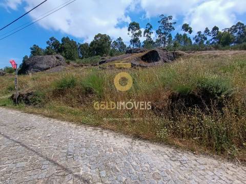 Terreno Rústico  Venda em Vila Boa de Quires e Maureles,Marco de Canaveses