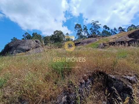 Terreno Rústico  Venda em Vila Boa de Quires e Maureles,Marco de Canaveses