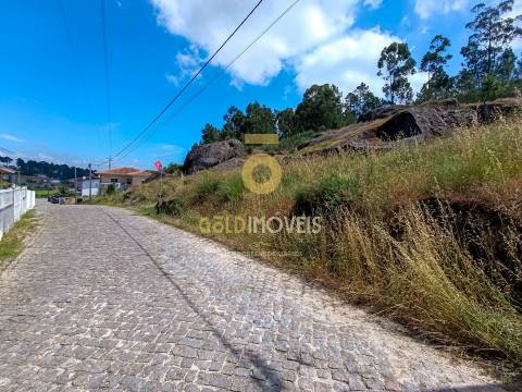 Terreno Rústico  Venda em Vila Boa de Quires e Maureles,Marco de Canaveses