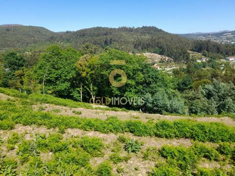 Terreno para Construção
