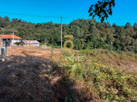 Terreno Para Construção  Venda em Souselo,Cinfães