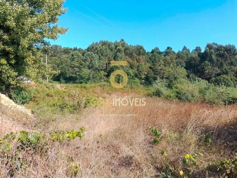 Terreno Para Construção  Venda em Souselo,Cinfães