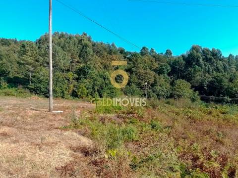 Terreno Para Construção  Venda em Souselo,Cinfães