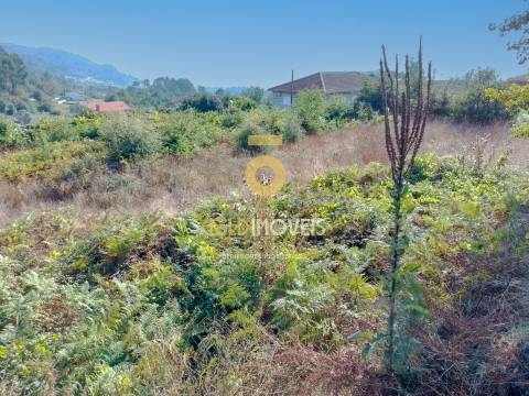 Terreno Para Construção  Venda em Souselo,Cinfães