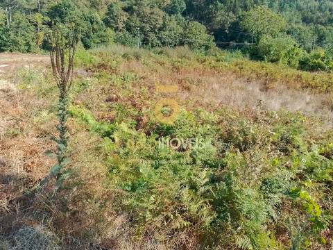 Terreno Para Construção  Venda em Souselo,Cinfães