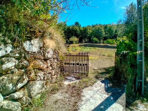 Moradia T4 Venda em Espadanedo,Cinfães