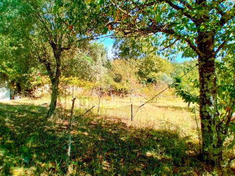 Moradia T4 Venda em Espadanedo,Cinfães