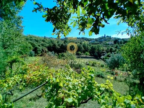 Moradia T4 Venda em Espadanedo,Cinfães