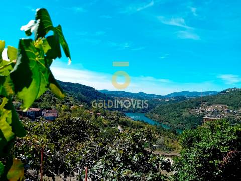 Moradia T4 Venda em Espadanedo,Cinfães