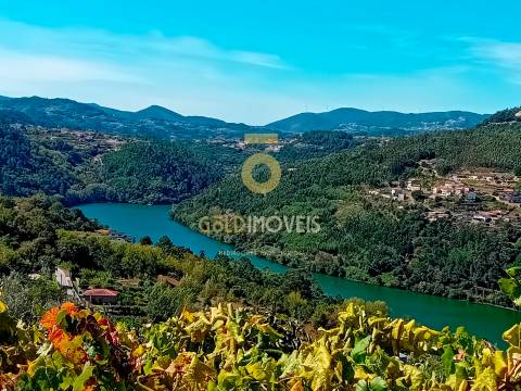 Moradia T4 Venda em Espadanedo,Cinfães