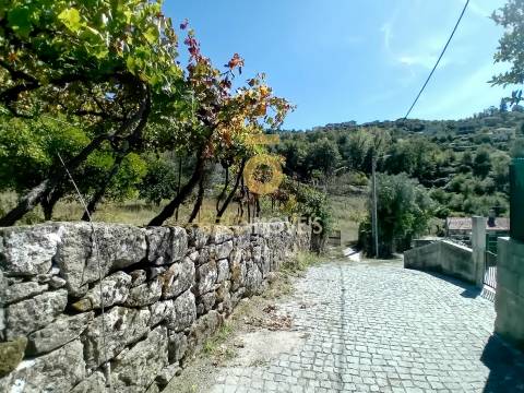 Moradia T4 Venda em Espadanedo,Cinfães