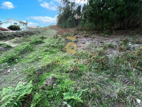Terreno Para Construção  Venda em Cristelos, Boim e Ordem,Lousada