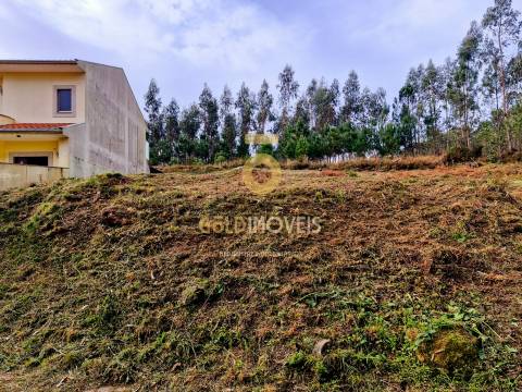 Lote de Terreno  Venda em Macieira de Sarnes,Oliveira de Azeméis