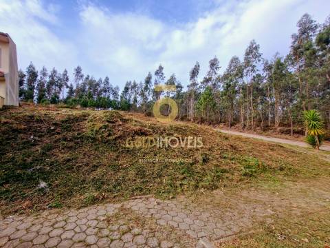 Lote de Terreno  Venda em Macieira de Sarnes,Oliveira de Azeméis