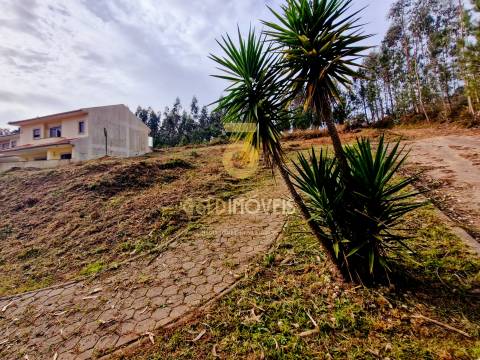 Lote de Terreno  Venda em Macieira de Sarnes,Oliveira de Azeméis