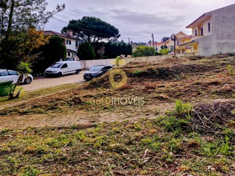 Lote de Terreno  Venda em Macieira de Sarnes,Oliveira de Azeméis