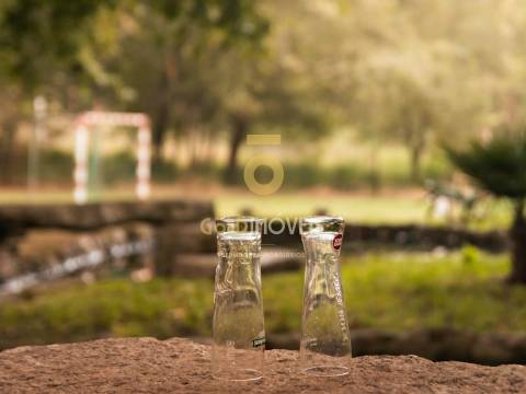 Terreno Rústico  Venda em Pinheiro da Bemposta, Travanca e Palmaz,Oliveira de Azeméis