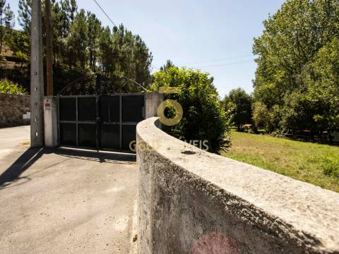 Terreno Rústico  Venda em Pinheiro da Bemposta, Travanca e Palmaz,Oliveira de Azeméis