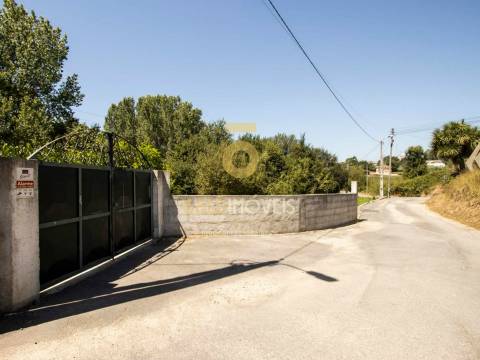 Terreno Rústico  Venda em Pinheiro da Bemposta, Travanca e Palmaz,Oliveira de Azeméis