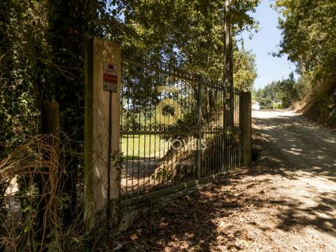 Terreno Rústico  Venda em Pinheiro da Bemposta, Travanca e Palmaz,Oliveira de Azeméis