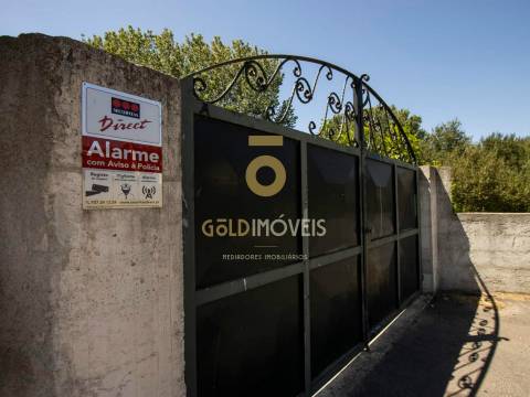 Terreno Rústico  Venda em Pinheiro da Bemposta, Travanca e Palmaz,Oliveira de Azeméis