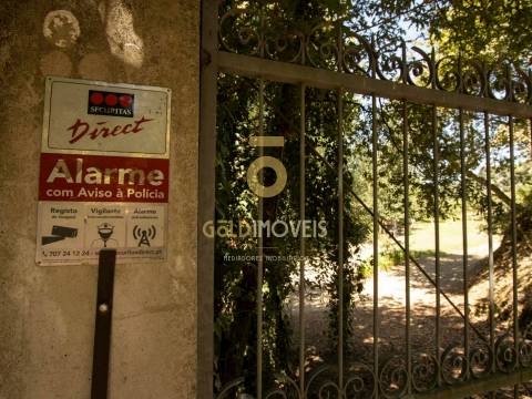 Terreno Rústico  Venda em Pinheiro da Bemposta, Travanca e Palmaz,Oliveira de Azeméis