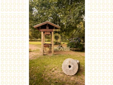 Terreno Rústico  Venda em Pinheiro da Bemposta, Travanca e Palmaz,Oliveira de Azeméis