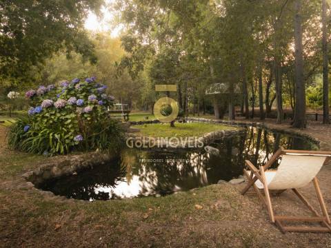 Terreno Rústico  Venda em Pinheiro da Bemposta, Travanca e Palmaz,Oliveira de Azeméis