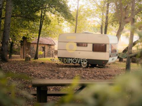 Terreno Rústico  Venda em Pinheiro da Bemposta, Travanca e Palmaz,Oliveira de Azeméis
