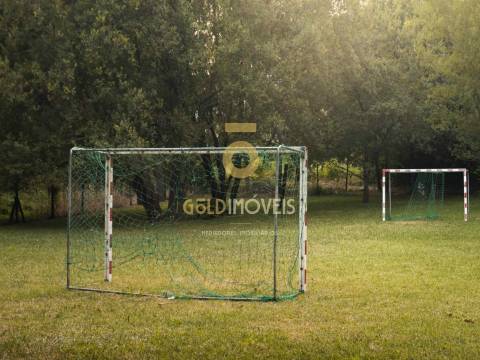 Terreno Rústico  Venda em Pinheiro da Bemposta, Travanca e Palmaz,Oliveira de Azeméis