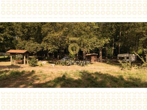 Terreno Rústico  Venda em Pinheiro da Bemposta, Travanca e Palmaz,Oliveira de Azeméis