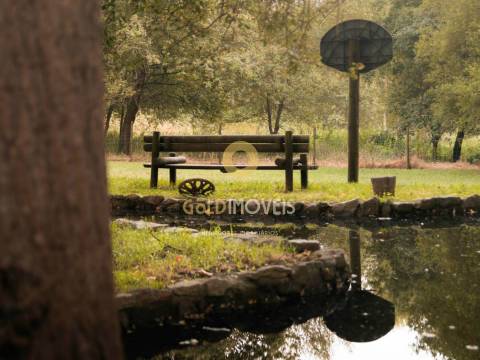 Terreno Rústico  Venda em Pinheiro da Bemposta, Travanca e Palmaz,Oliveira de Azeméis