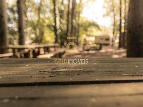 Terreno Rústico  Venda em Pinheiro da Bemposta, Travanca e Palmaz,Oliveira de Azeméis