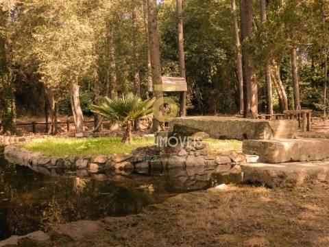 Terreno Rústico  Venda em Pinheiro da Bemposta, Travanca e Palmaz,Oliveira de Azeméis
