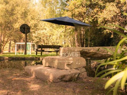 Terreno Rústico  Venda em Pinheiro da Bemposta, Travanca e Palmaz,Oliveira de Azeméis