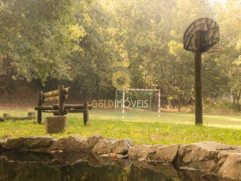 Terreno Rústico  Venda em Pinheiro da Bemposta, Travanca e Palmaz,Oliveira de Azeméis