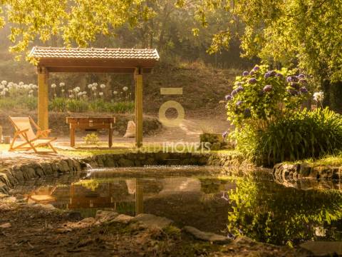 Terreno Rústico  Venda em Pinheiro da Bemposta, Travanca e Palmaz,Oliveira de Azeméis