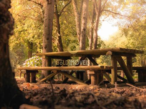 Terreno Rústico  Venda em Pinheiro da Bemposta, Travanca e Palmaz,Oliveira de Azeméis