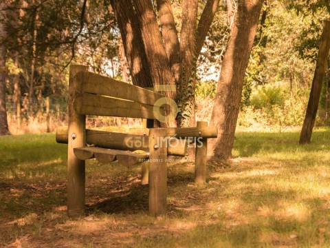 Terreno Rústico  Venda em Pinheiro da Bemposta, Travanca e Palmaz,Oliveira de Azeméis