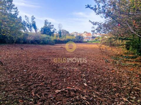 Terreno Rústico  Venda em Vila de Cucujães,Oliveira de Azeméis