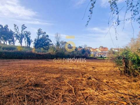 Terreno Rústico  Venda em Vila de Cucujães,Oliveira de Azeméis