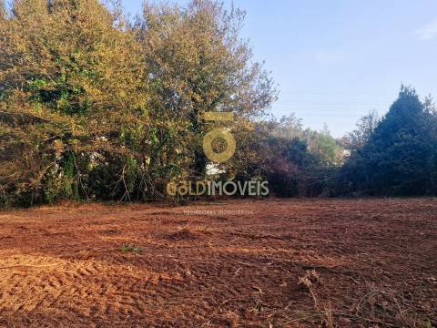 Terreno Rústico  Venda em Vila de Cucujães,Oliveira de Azeméis